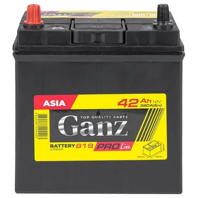 Аккумулятор Ganz PRO-Line JIS G1130421 42 Ач 380 А (EN), прямая полярность, B19