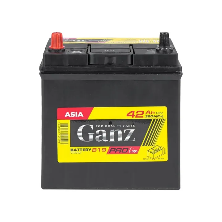 Аккумулятор Ganz PRO-Line JIS G1130421 42 Ач 380 А (EN), прямая полярность, B19